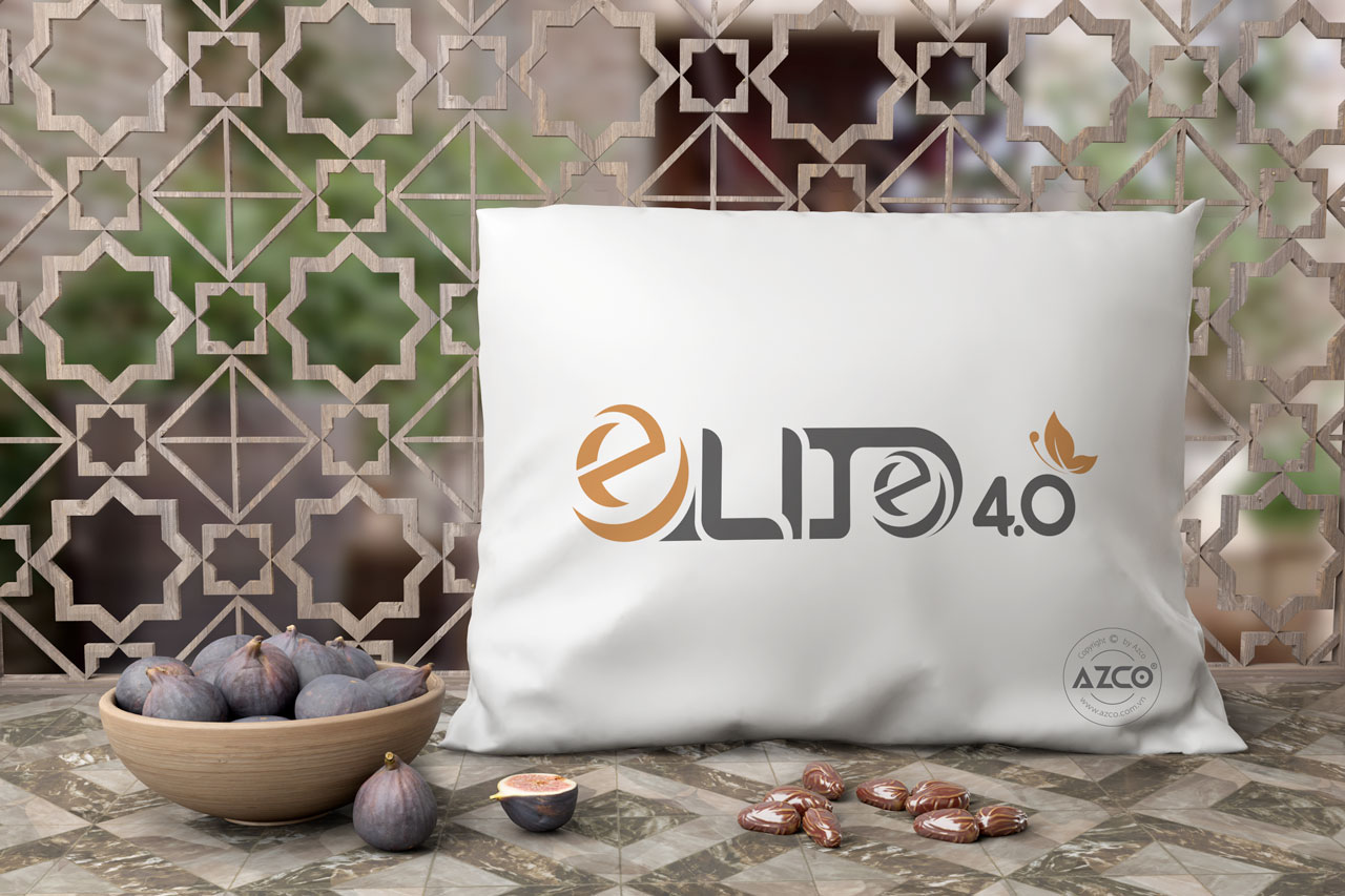 Thiết Kế Logo Thương Hiệu ELITE 4.0 Tại AZCO