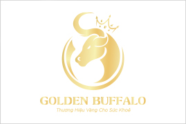 Thiết kế logo thương hiệu GOLDEN BUFFALO | AZCO Branding